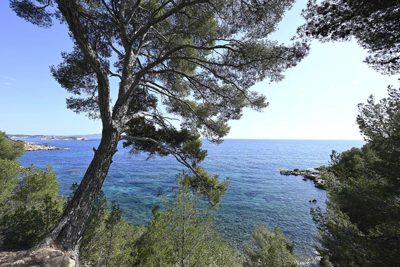 Charmant Studio 2A4 Pers Avec Jardin Et Place De Parking Situe A 5 Min A Pied De La Mer Bandol Exterior photo